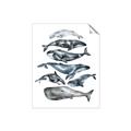 Picture of Fish Pattern _GroupedProduct_Rectangle_Portrait_Mini_ _GroupedProduct_Rectangle_Portrait_Unframed_Print_Only_