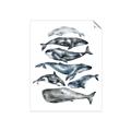 Picture of Fish Pattern _GroupedProduct_Rectangle_Portrait_Mini_ _GroupedProduct_Rectangle_Portrait_Unframed_Print_Only_
