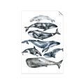 Picture of Fish Pattern _GroupedProduct_Rectangle_Portrait_Mini_ _GroupedProduct_Rectangle_Portrait_Unframed_Print_Only_