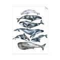 Picture of Fish Pattern _GroupedProduct_Rectangle_Portrait_Mini_ _GroupedProduct_Rectangle_Portrait_Unframed_Print_Only_