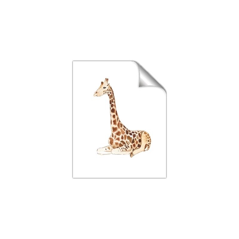 Picture of Cute Baby Giraffe _GroupedProduct_Rectangle_Portrait_Mini_ _GroupedProduct_Rectangle_Portrait_Unframed_Print_Only_
