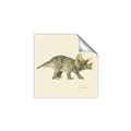 Picture of Triceratops _GroupedProduct_Square_Mini_ _GroupedProduct_Square_Unframed_Print_Only_