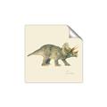 Picture of Triceratops _GroupedProduct_Square_Mini_ _GroupedProduct_Square_Unframed_Print_Only_