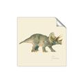 Picture of Triceratops _GroupedProduct_Square_Mini_ _GroupedProduct_Square_Unframed_Print_Only_
