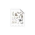 Picture of Cute Wild Animals II _GroupedProduct_Rectangle_Portrait_Mini_ _GroupedProduct_Rectangle_Portrait_Unframed_Print_Only_