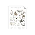 Picture of Cute Wild Animals II _GroupedProduct_Rectangle_Portrait_Mini_ _GroupedProduct_Rectangle_Portrait_Unframed_Print_Only_