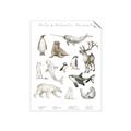 Picture of Cute Wild Animals II _GroupedProduct_Rectangle_Portrait_Mini_ _GroupedProduct_Rectangle_Portrait_Unframed_Print_Only_
