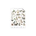Picture of African wild animals II _GroupedProduct_Rectangle_Portrait_Mini_ _GroupedProduct_Rectangle_Portrait_Unframed_Print_Only_