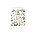 Picture of African wild animals II _GroupedProduct_Rectangle_Portrait_Mini_ _GroupedProduct_Rectangle_Portrait_Unframed_Print_Only_