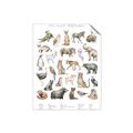 Picture of African wild animals II _GroupedProduct_Rectangle_Portrait_Mini_ _GroupedProduct_Rectangle_Portrait_Unframed_Print_Only_