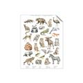 Picture of Cute Wild Animals I _GroupedProduct_Rectangle_Portrait_Mini_ _GroupedProduct_Rectangle_Portrait_Unframed_Print_Only_