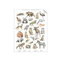 Picture of Cute Wild Animals I _GroupedProduct_Rectangle_Portrait_Mini_ _GroupedProduct_Rectangle_Portrait_Unframed_Print_Only_