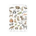 Picture of Cute Wild Animals I _GroupedProduct_Rectangle_Portrait_Mini_ _GroupedProduct_Rectangle_Portrait_Unframed_Print_Only_