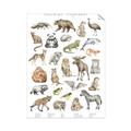Picture of Cute Wild Animals I _GroupedProduct_Rectangle_Portrait_Mini_ _GroupedProduct_Rectangle_Portrait_Unframed_Print_Only_