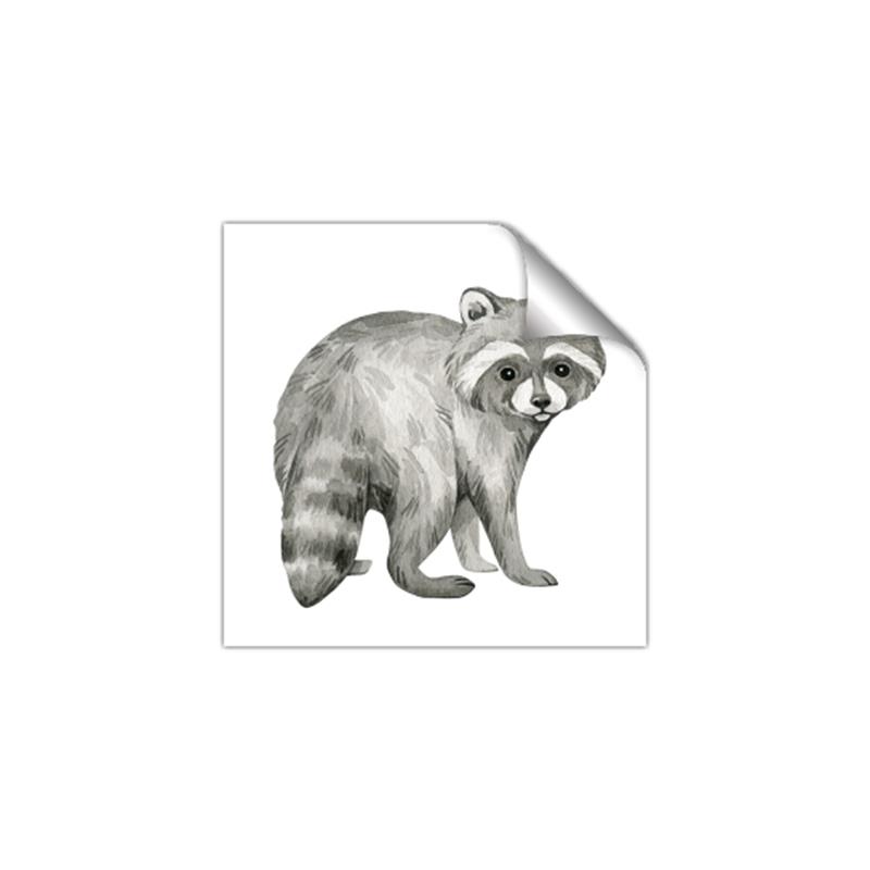 Picture of Forest Raccoon  _GroupedProduct_Square_Mini_ _GroupedProduct_Square_Unframed_Print_Only_
