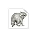 Picture of Forest Raccoon  _GroupedProduct_Square_Mini_ _GroupedProduct_Square_Unframed_Print_Only_