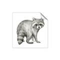Picture of Forest Raccoon  _GroupedProduct_Square_Mini_ _GroupedProduct_Square_Unframed_Print_Only_