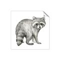 Picture of Forest Raccoon  _GroupedProduct_Square_Mini_ _GroupedProduct_Square_Unframed_Print_Only_