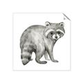 Picture of Forest Raccoon  _GroupedProduct_Square_Mini_ _GroupedProduct_Square_Unframed_Print_Only_