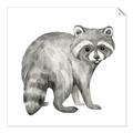 Picture of Forest Raccoon  _GroupedProduct_Square_Mini_ _GroupedProduct_Square_Unframed_Print_Only_