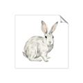 Picture of Forest Bunny _GroupedProduct_Square_Mini_ _GroupedProduct_Square_Unframed_Print_Only_