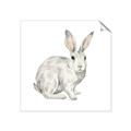 Picture of Forest Bunny _GroupedProduct_Square_Mini_ _GroupedProduct_Square_Unframed_Print_Only_