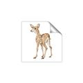 Picture of Forest Deer _GroupedProduct_Square_Mini_ _GroupedProduct_Square_Unframed_Print_Only_