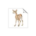 Picture of Forest Deer _GroupedProduct_Square_Mini_ _GroupedProduct_Square_Unframed_Print_Only_