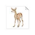 Picture of Forest Deer _GroupedProduct_Square_Mini_ _GroupedProduct_Square_Unframed_Print_Only_