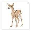 Picture of Forest Deer _GroupedProduct_Square_Mini_ _GroupedProduct_Square_Unframed_Print_Only_
