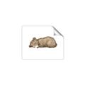 Picture of Baby grizzly bear I _GroupedProduct_Rectangle_Landscape_Mini_ _GroupedProduct_Rectangle_Landscape_Unframed_Print_Only_