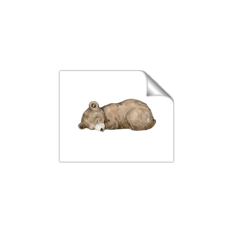 Picture of Baby grizzly bear I _GroupedProduct_Rectangle_Landscape_Mini_ _GroupedProduct_Rectangle_Landscape_Unframed_Print_Only_