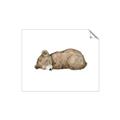 Picture of Baby grizzly bear I _GroupedProduct_Rectangle_Landscape_Mini_ _GroupedProduct_Rectangle_Landscape_Unframed_Print_Only_