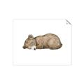 Picture of Baby grizzly bear I _GroupedProduct_Rectangle_Landscape_Mini_ _GroupedProduct_Rectangle_Landscape_Unframed_Print_Only_