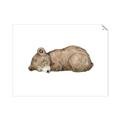 Picture of Baby grizzly bear I _GroupedProduct_Rectangle_Landscape_Mini_ _GroupedProduct_Rectangle_Landscape_Unframed_Print_Only_