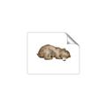Picture of Baby grizzly bear II _GroupedProduct_Rectangle_Landscape_Mini_ _GroupedProduct_Rectangle_Landscape_Unframed_Print_Only_