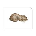 Picture of Baby grizzly bear II _GroupedProduct_Rectangle_Landscape_Mini_ _GroupedProduct_Rectangle_Landscape_Unframed_Print_Only_