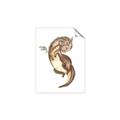 Picture of Adorable Flying Dragon I _GroupedProduct_Rectangle_Portrait_Mini_ _GroupedProduct_Rectangle_Portrait_Unframed_Print_Only_