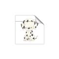 Picture of Dalmatian _GroupedProduct_Square_Mini_ _GroupedProduct_Square_Unframed_Print_Only_