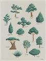 Picture of Trees Chart _GroupedProduct_Rectangle_Portrait_Mini_ _GroupedProduct_Rectangle_Portrait_Unframed_Print_Only_
