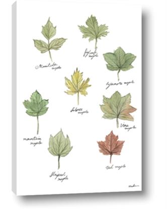 Picture of Leaves Chart