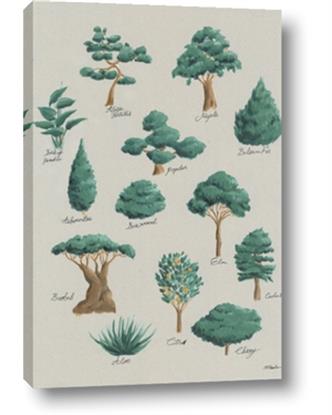 Picture of Trees Chart