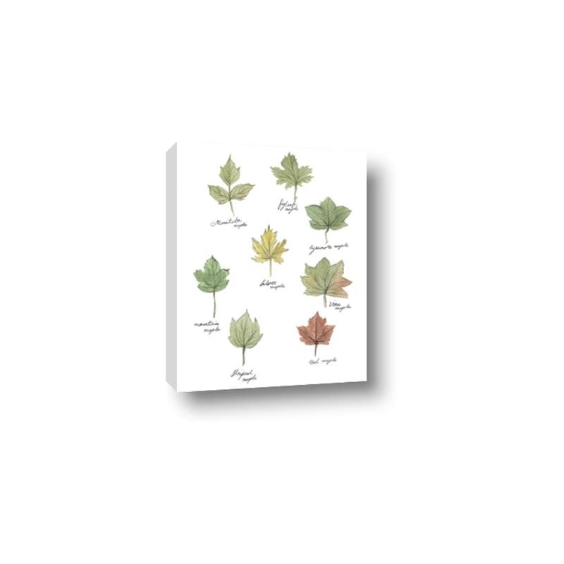 Picture of Leaves Chart _GroupedProduct_Rectangle_Portrait_Mini_ _GroupedProduct_Rectangle_Portrait_Canvas_