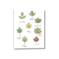 Picture of Leaves Chart _GroupedProduct_Rectangle_Portrait_Mini_ _GroupedProduct_Rectangle_Portrait_Canvas_