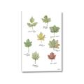 Picture of Leaves Chart _GroupedProduct_Rectangle_Portrait_Mini_ _GroupedProduct_Rectangle_Portrait_Canvas_