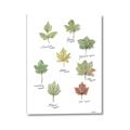 Picture of Leaves Chart _GroupedProduct_Rectangle_Portrait_Mini_ _GroupedProduct_Rectangle_Portrait_Canvas_