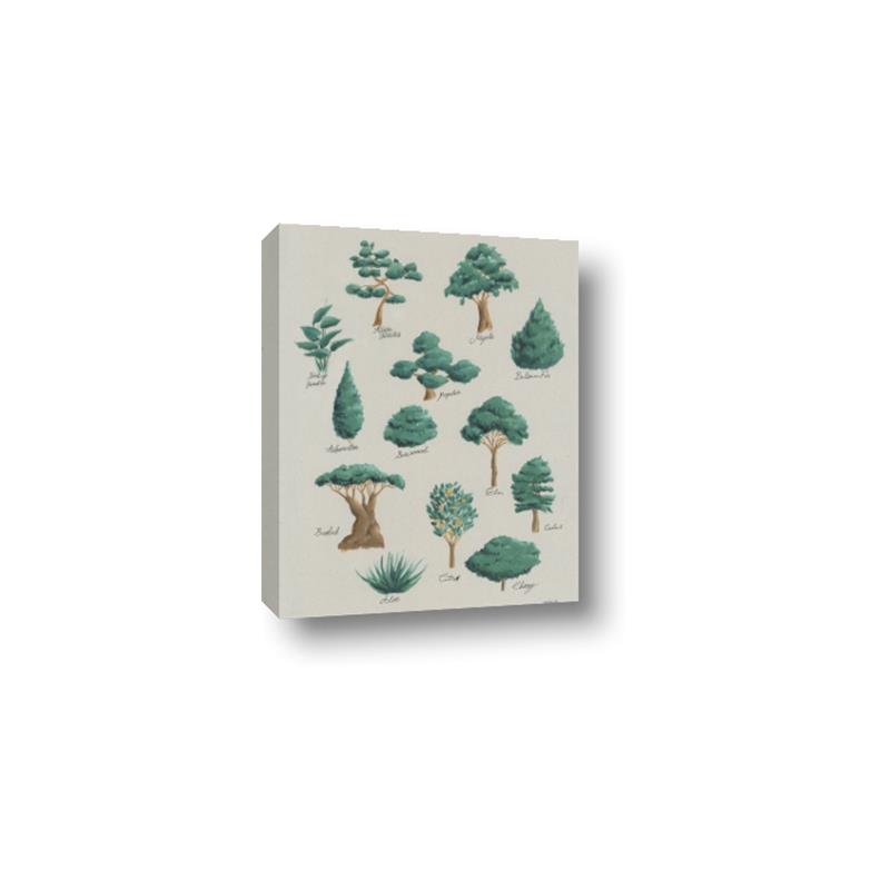 Picture of Trees Chart _GroupedProduct_Rectangle_Portrait_Mini_ _GroupedProduct_Rectangle_Portrait_Canvas_