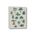 Picture of Trees Chart _GroupedProduct_Rectangle_Portrait_Mini_ _GroupedProduct_Rectangle_Portrait_Canvas_