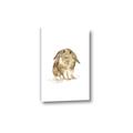 Picture of Shy Bunnies _GroupedProduct_Rectangle_Portrait_Mini_ _GroupedProduct_Rectangle_Portrait_Canvas_