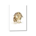 Picture of Shy Bunnies _GroupedProduct_Rectangle_Portrait_Mini_ _GroupedProduct_Rectangle_Portrait_Canvas_